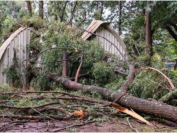 Foxfire dome destroyed by heavy rainfall. 